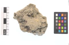 Foto von Gold Gediegen (NHMW-MIN-Aq650)